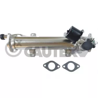 Radiateur, réaspiration des gaz d'échappement CAUTEX 772089