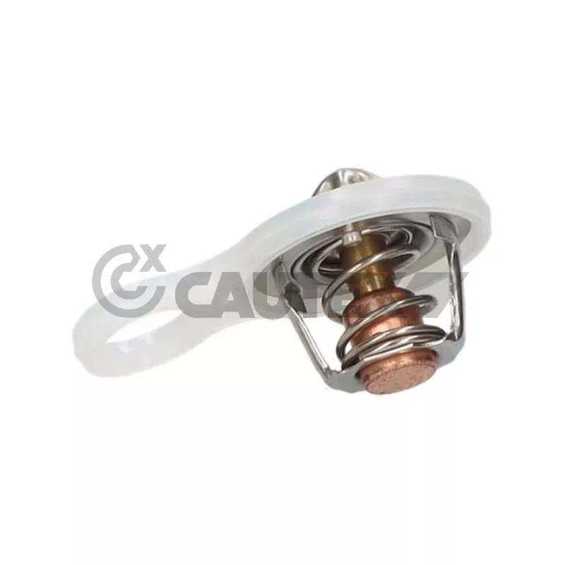 Thermostat, liquide de refroidissement CAUTEX 772117