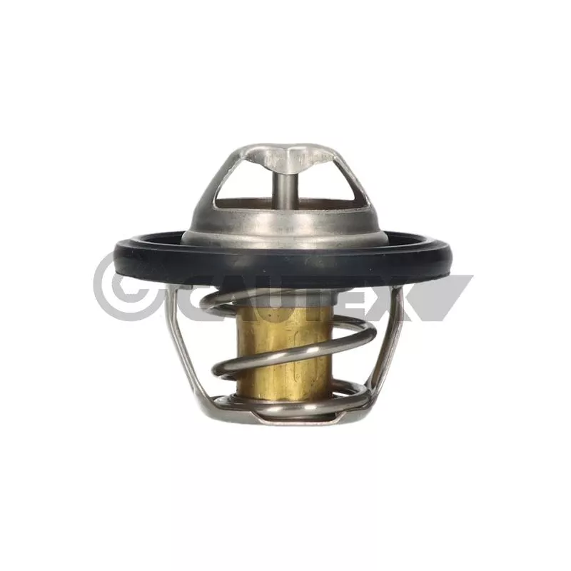 Thermostat, liquide de refroidissement CAUTEX 772119
