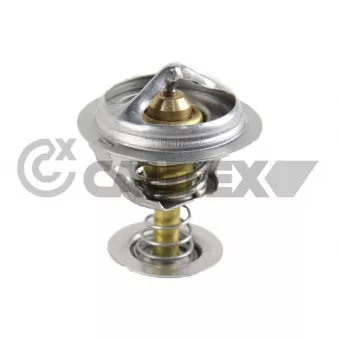 Thermostat, liquide de refroidissement CAUTEX