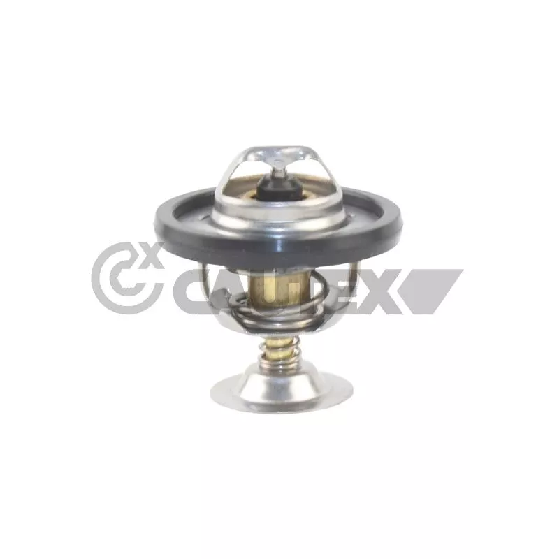 Thermostat, liquide de refroidissement CAUTEX 772129