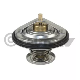 Thermostat, liquide de refroidissement CAUTEX 772131