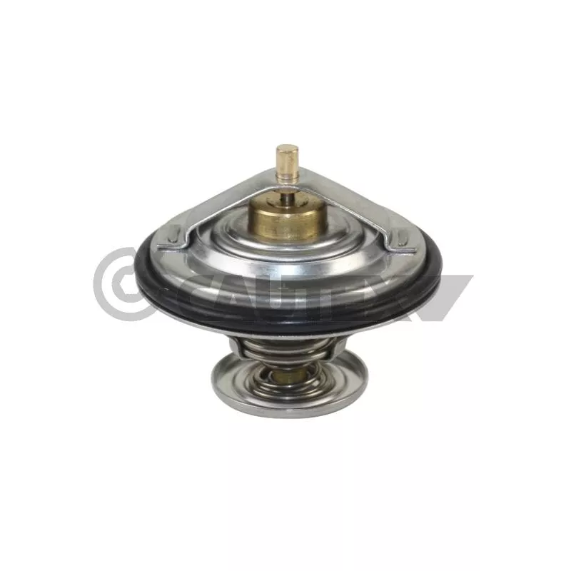 Thermostat, liquide de refroidissement CAUTEX 772131