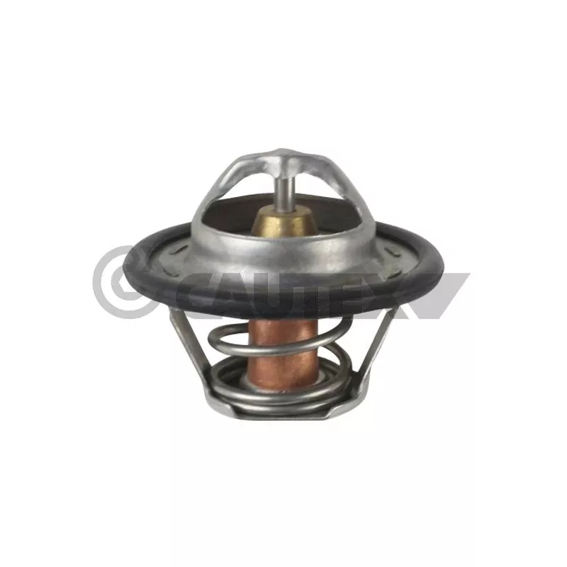 Thermostat, liquide de refroidissement CAUTEX 772147