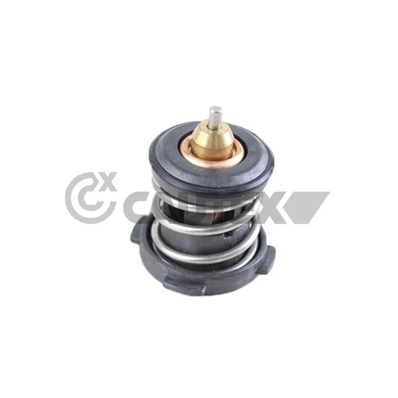 Bride de liquide de refroidissement CAUTEX 772148