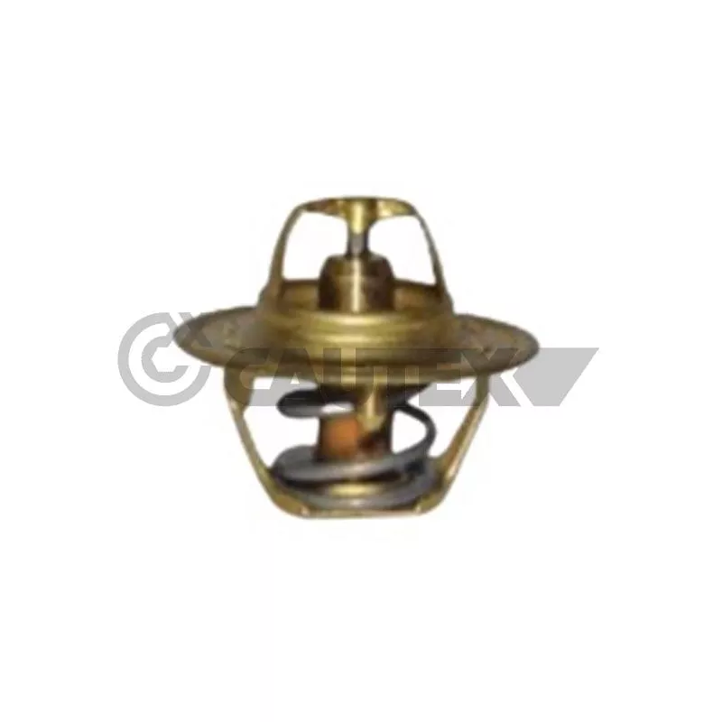 Thermostat, liquide de refroidissement CAUTEX 772154