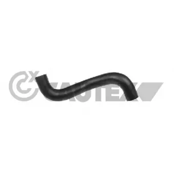Durite de radiateur CAUTEX 772334
