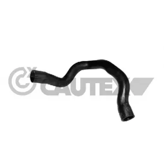 Durite de radiateur CAUTEX 772345