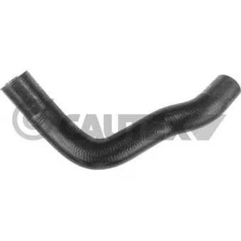 Durite de radiateur CAUTEX 772347