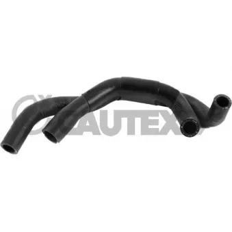 Durite de radiateur CAUTEX 772348