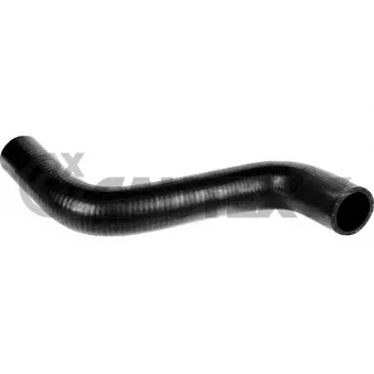 Durite de radiateur CAUTEX 772352