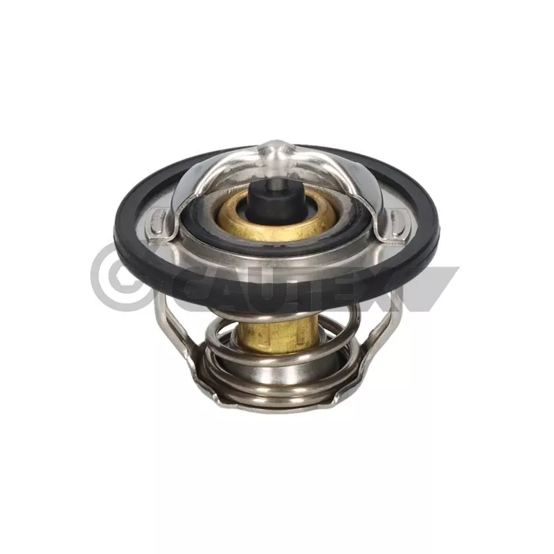Thermostat, liquide de refroidissement CAUTEX 772471