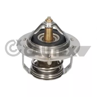 Thermostat, liquide de refroidissement CAUTEX 772475