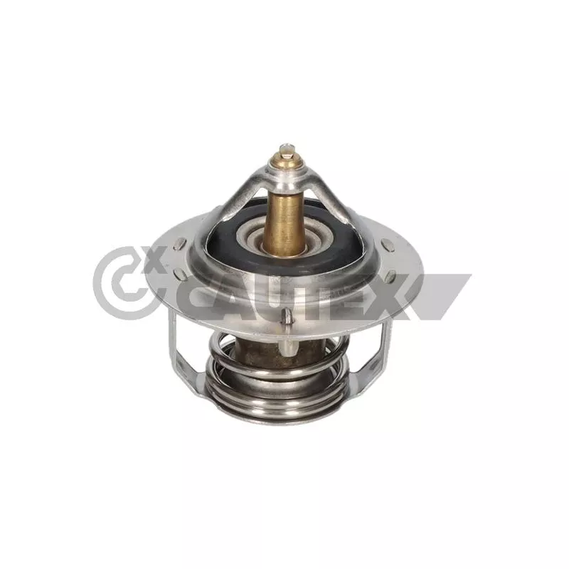 Thermostat, liquide de refroidissement CAUTEX 772475
