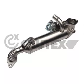 Radiateur, réaspiration des gaz d'échappement CAUTEX 772482
