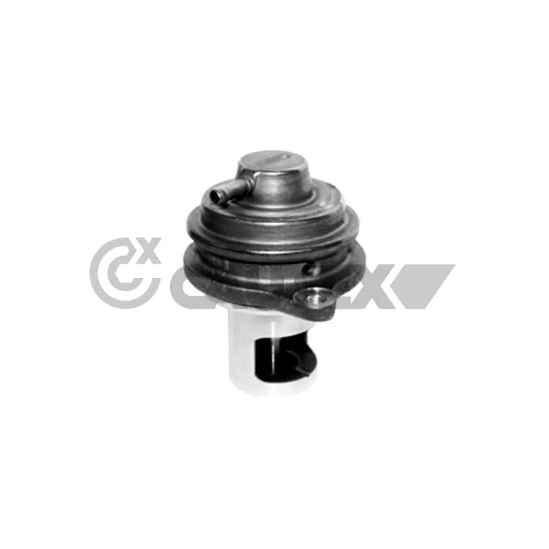 Vanne EGR CAUTEX 772484