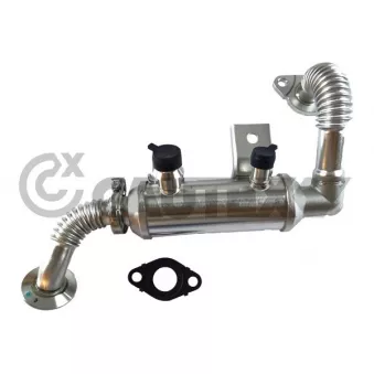 Radiateur, réaspiration des gaz d'échappement CAUTEX 772486