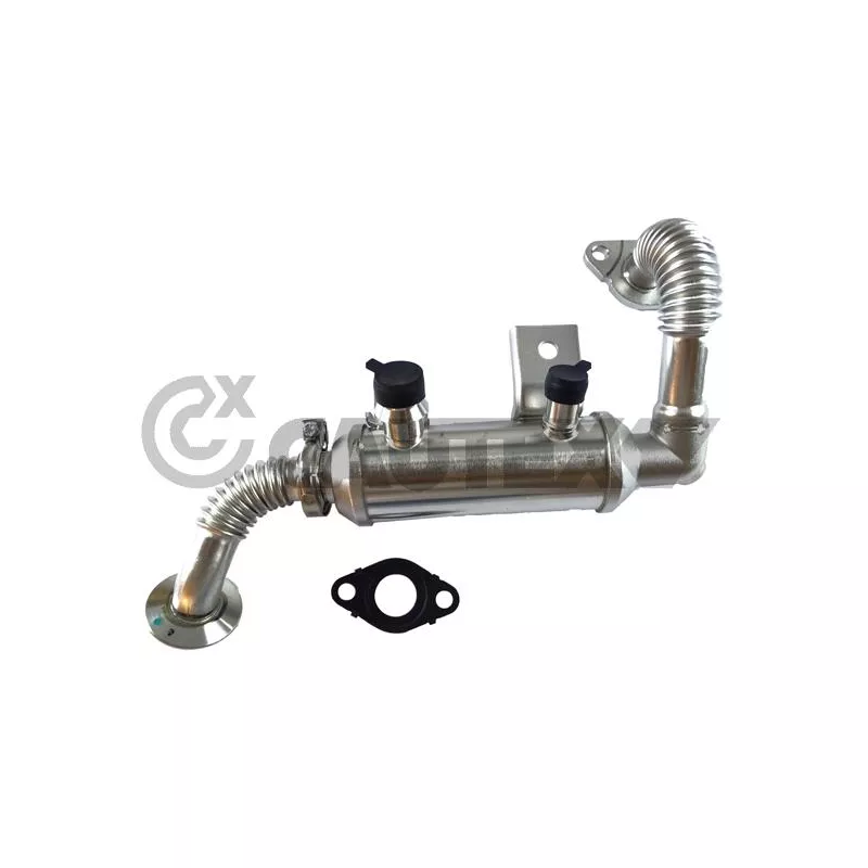 Radiateur, réaspiration des gaz d'échappement CAUTEX 772486