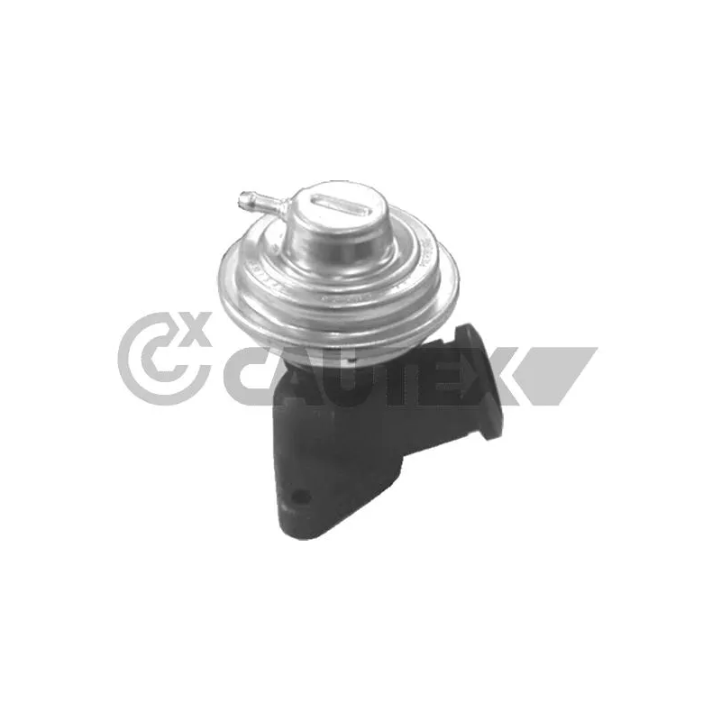 Vanne EGR CAUTEX 772500