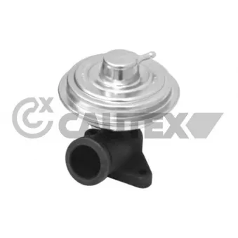Vanne EGR CAUTEX 772502