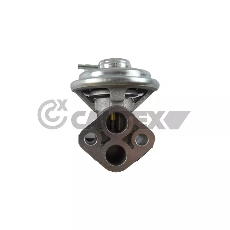 Vanne EGR CAUTEX 772503