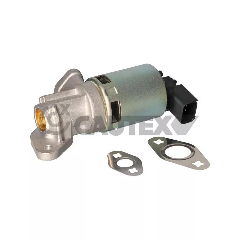 Vanne EGR CAUTEX 772504