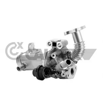 Module-EGR CAUTEX