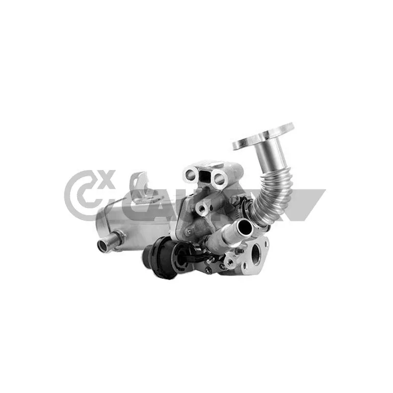 Module-EGR CAUTEX 772525