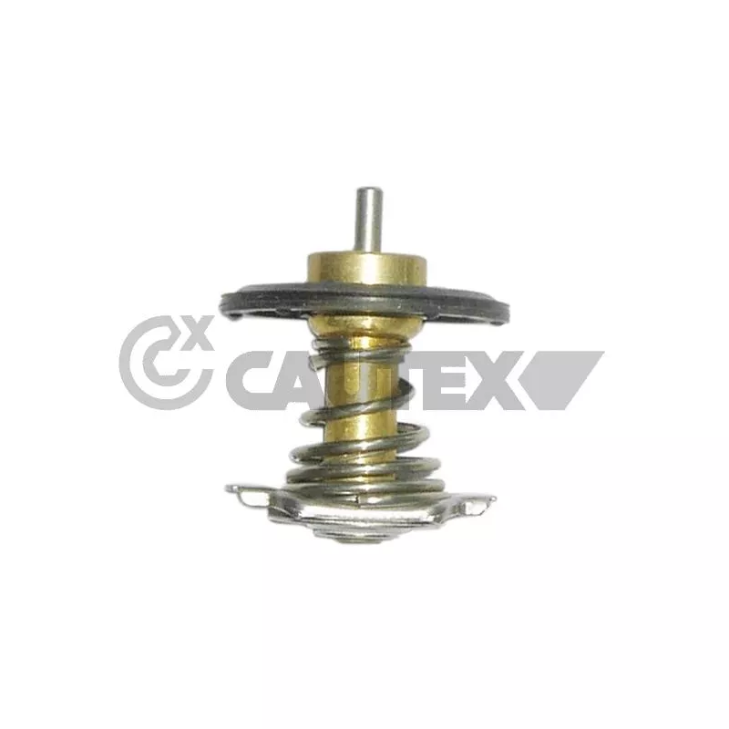 Thermostat, liquide de refroidissement CAUTEX 772529
