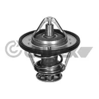 Thermostat, liquide de refroidissement CAUTEX 772648