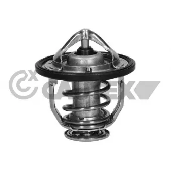 Thermostat, liquide de refroidissement CAUTEX 772651