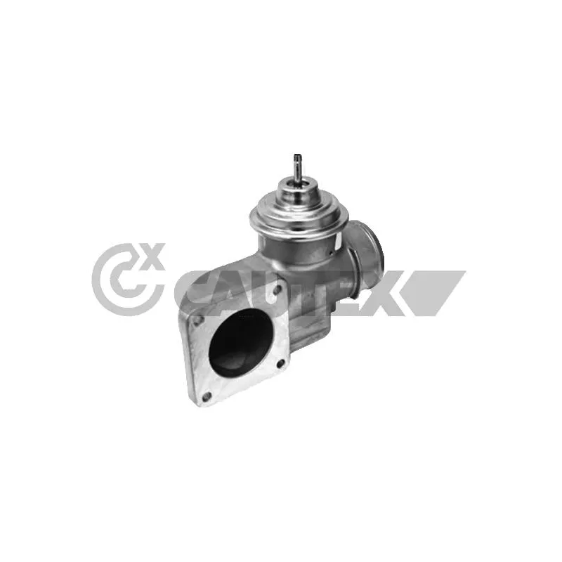 Vanne EGR CAUTEX 772718