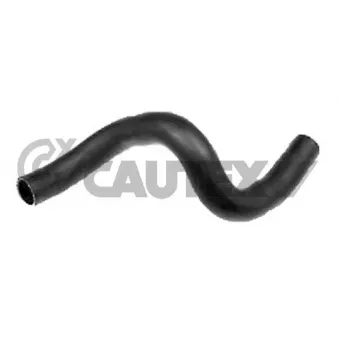 Durite de radiateur CAUTEX 773498