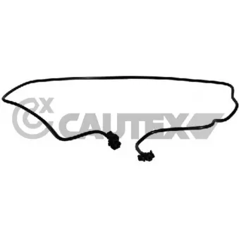 Durite de radiateur CAUTEX 773506
