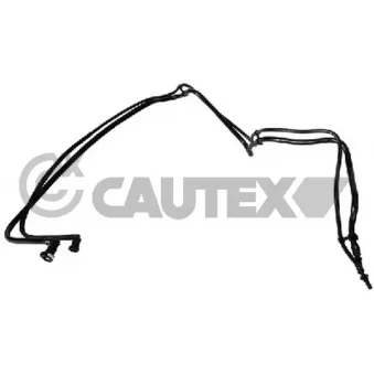 Durite de radiateur CAUTEX 773524