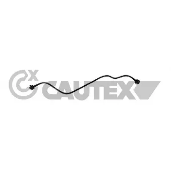 Durite de radiateur CAUTEX 773529