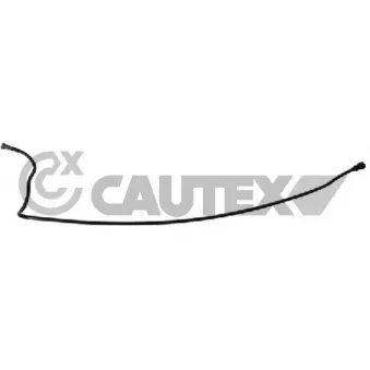 Durite de radiateur CAUTEX 773532