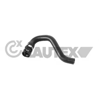 Durite de radiateur CAUTEX 773554