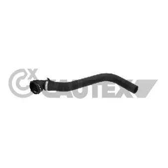 Durite de radiateur CAUTEX 773555