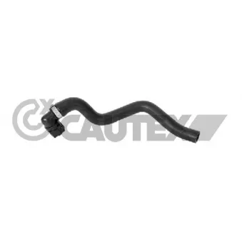 Durite de radiateur CAUTEX 773561