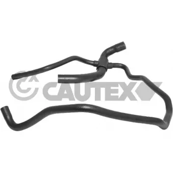 Durite de radiateur CAUTEX 773563