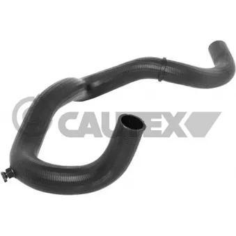 Durite de radiateur CAUTEX 773566