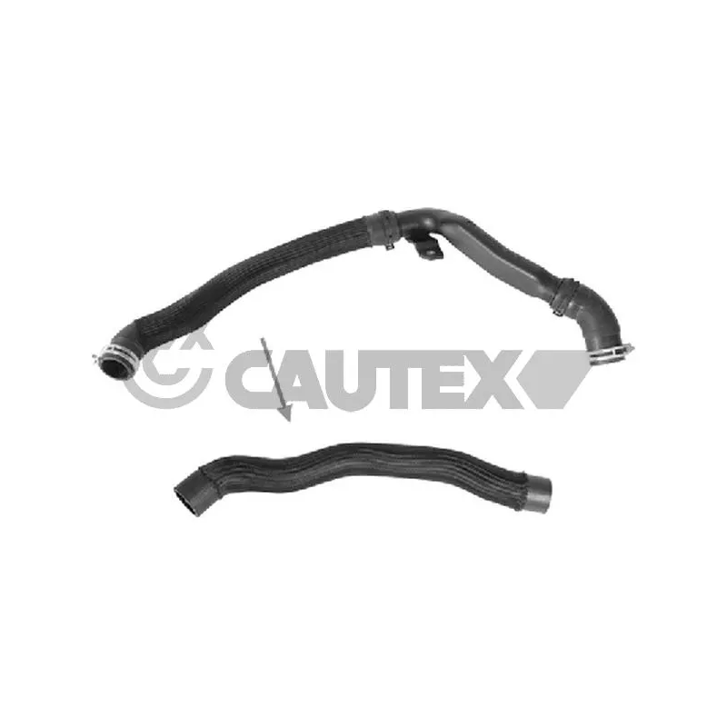 Durite de radiateur CAUTEX 773567