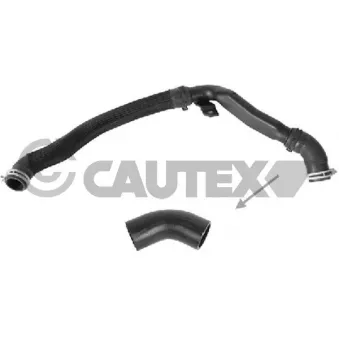 Durite de radiateur CAUTEX 773568