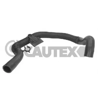 Durite de radiateur CAUTEX 773569