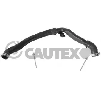 Durite de radiateur CAUTEX 773571