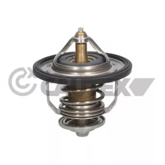 Thermostat, liquide de refroidissement CAUTEX 773608