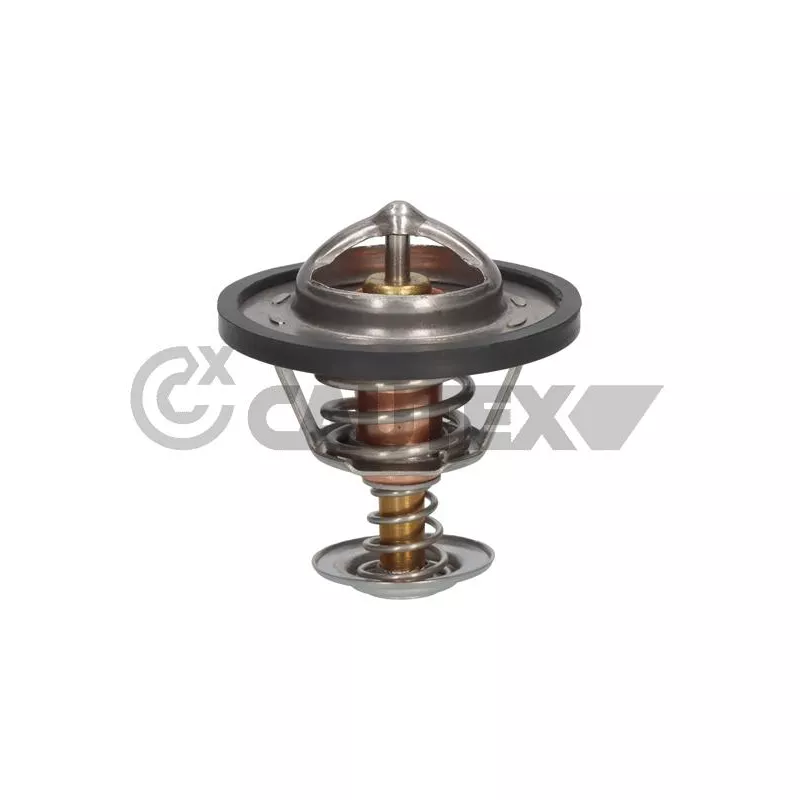 Thermostat, liquide de refroidissement CAUTEX 773633
