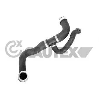 Durite de radiateur CAUTEX 773720