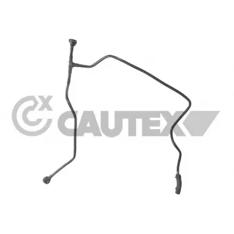 Durite de radiateur CAUTEX 773725